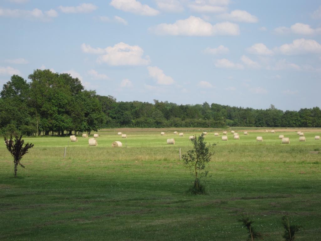 La Petite Grange Villa Lorignac Oda fotoğraf