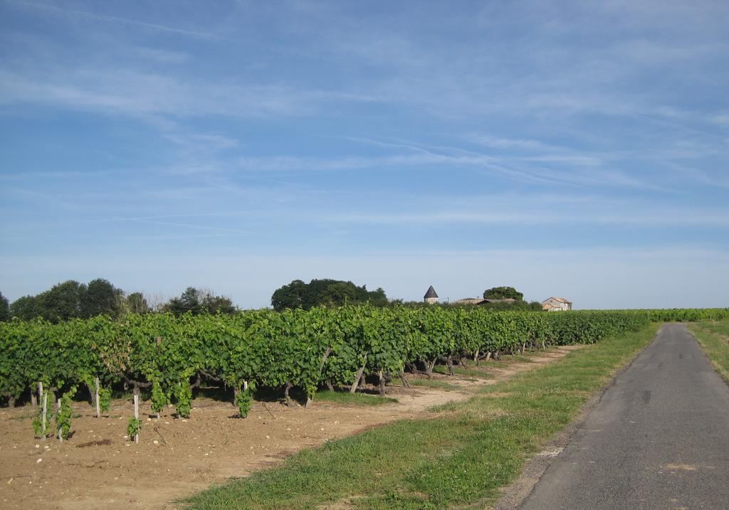 La Petite Grange Villa Lorignac Dış mekan fotoğraf